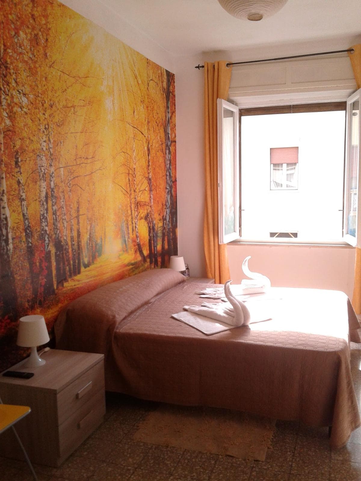 Private room in Pisa photo 4