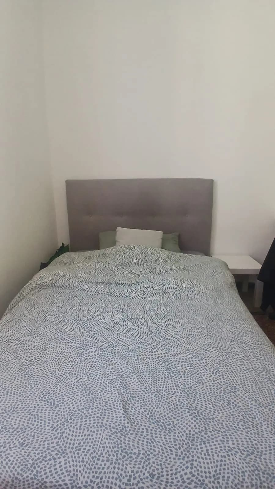 Private room in Genoa photo 2